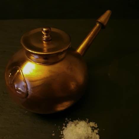 Jala Neti Pot